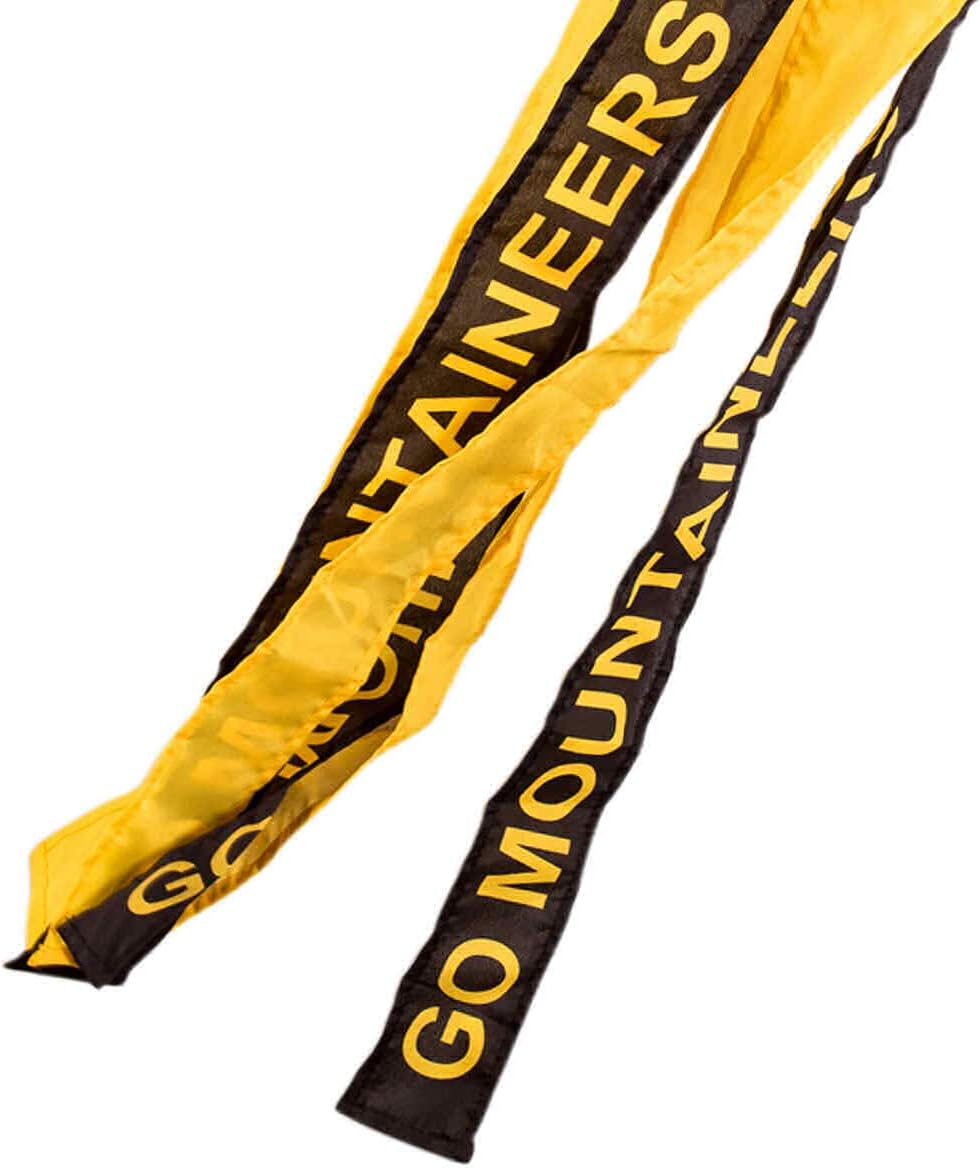 Appalachian State Mountaineers Windsock