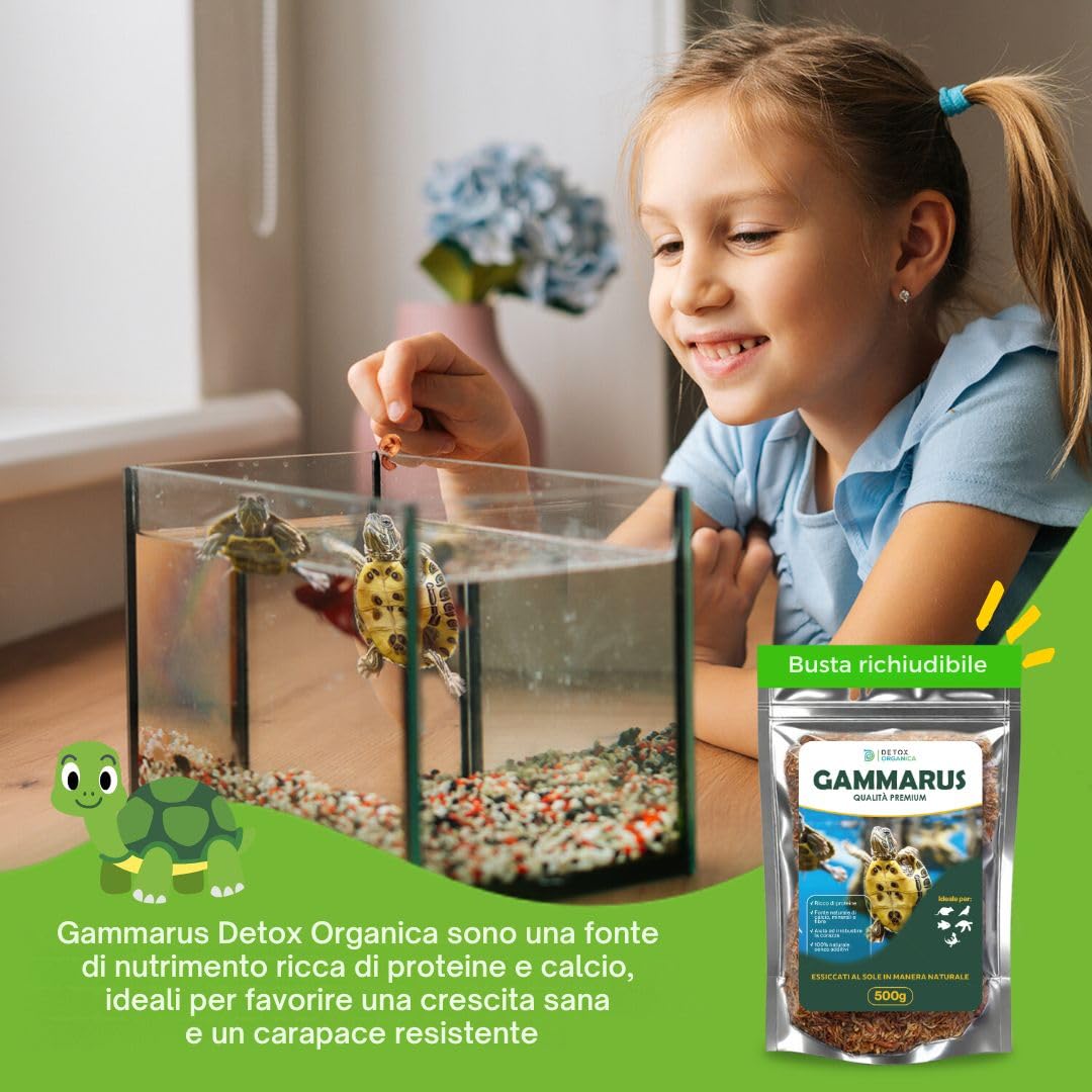 Gammarus Mangime Tartarughe Gammarus Per Tartarughe D'acqua