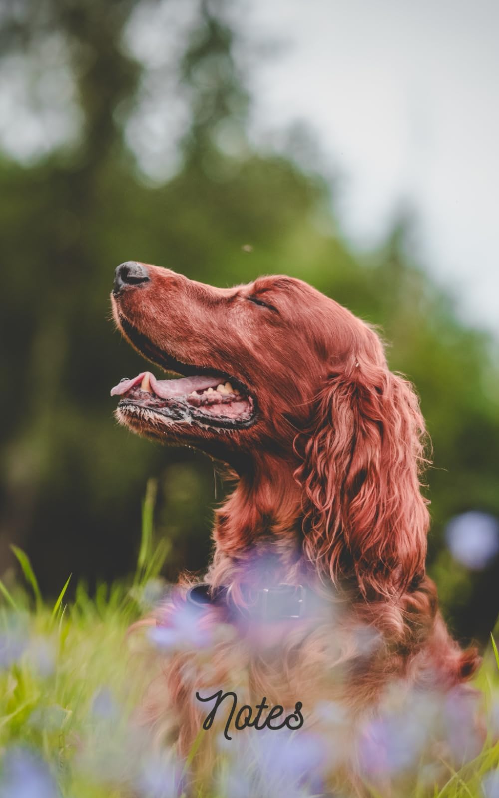 Irish Setter Notebook: A Lined Journal to Use as a Diary, a Home or Office Notepad, or for Journalling Your Canine Adventures