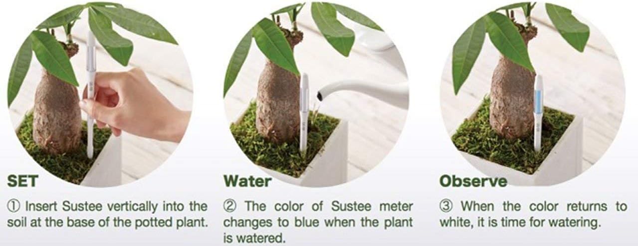 IPPINKA Sustee Aquameter Set of 4, Plant Soil Moisture Sensor, (White, Large, Refillable)