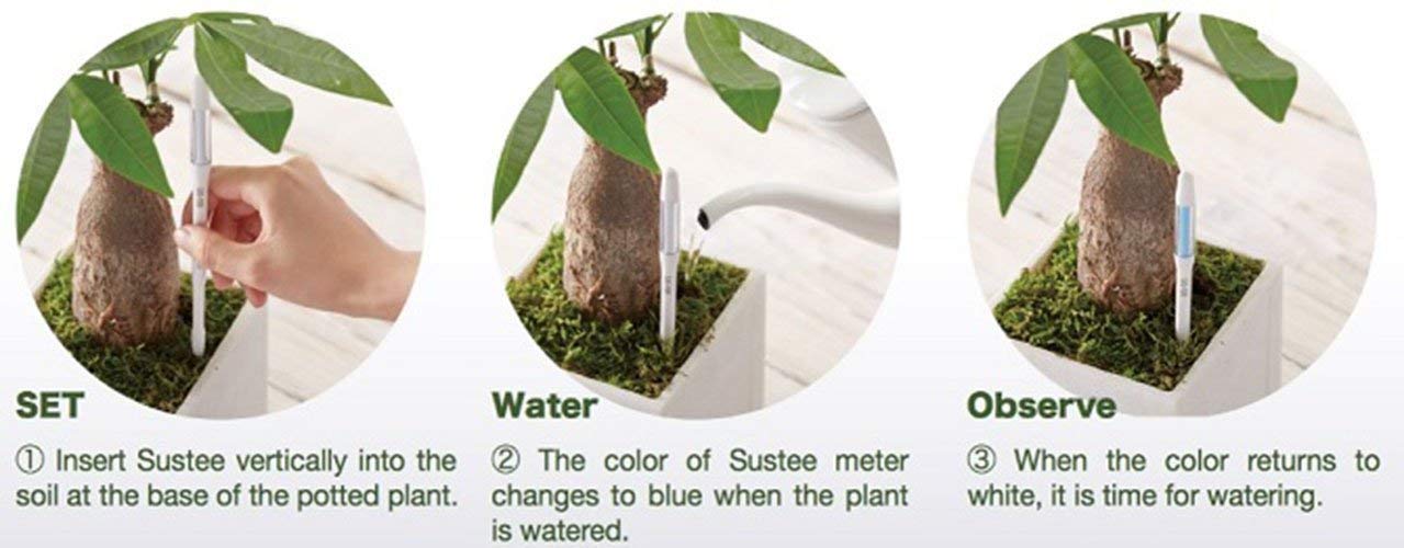 IPPINKA Sustee Aquameter Set de 4, sensor de humedad de suelo para plantas, (blanco, grande, recargable)