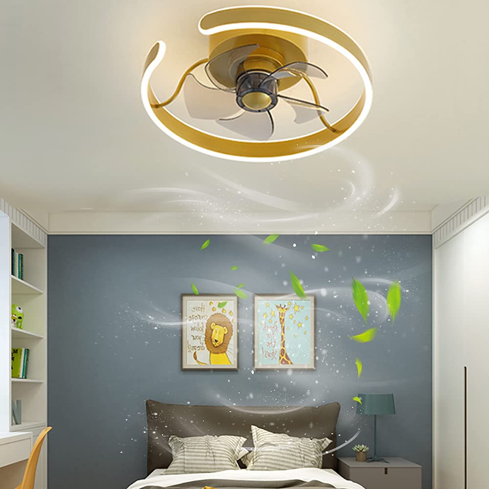 LED Flat Fan Ceiling with Light Modern Quiet Dimmable Fan Ceiling Lamp with  Remote Control Creative Golden Round Fan Light for Bedroom Children Room  Living Room Ceiling Fan Lamp ∅ 45cm :