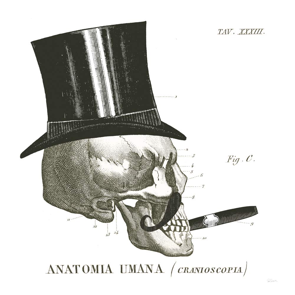 International Graphics - Finished Picture - Sue, Schlabach - ''Dandy Bones III''- 30 x 30 cm - Direct printing on acrylic glass