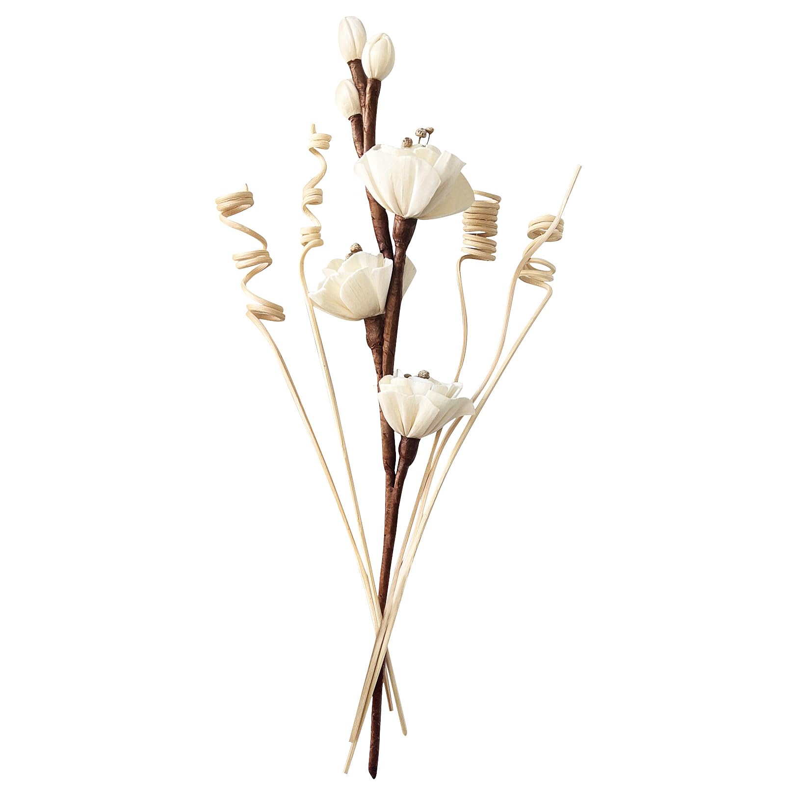 abiducns Reed Diffuser Sticks,Reed Diffuser Sticks Flowers,Reed Diffusers for Home,Bathroom Diffuser,Diffuser Set with Sticks,Natural Flower,White/