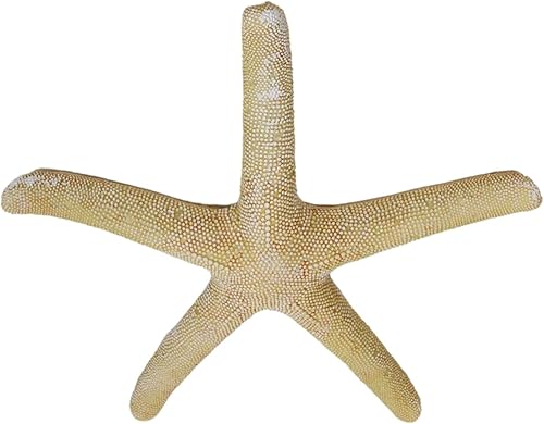 Miniatura 4 de Ebros Gift Escultura de estrella de mar amarilla coral océano, estrella de mar, 15 pulgadas de largo, decoración temática náutica costera para