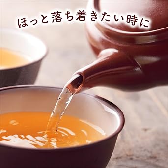 Asahi Beverage Broomstick Tea, Labelless Bottle, 16.9 fl oz 500 ml x 24 Bottles
