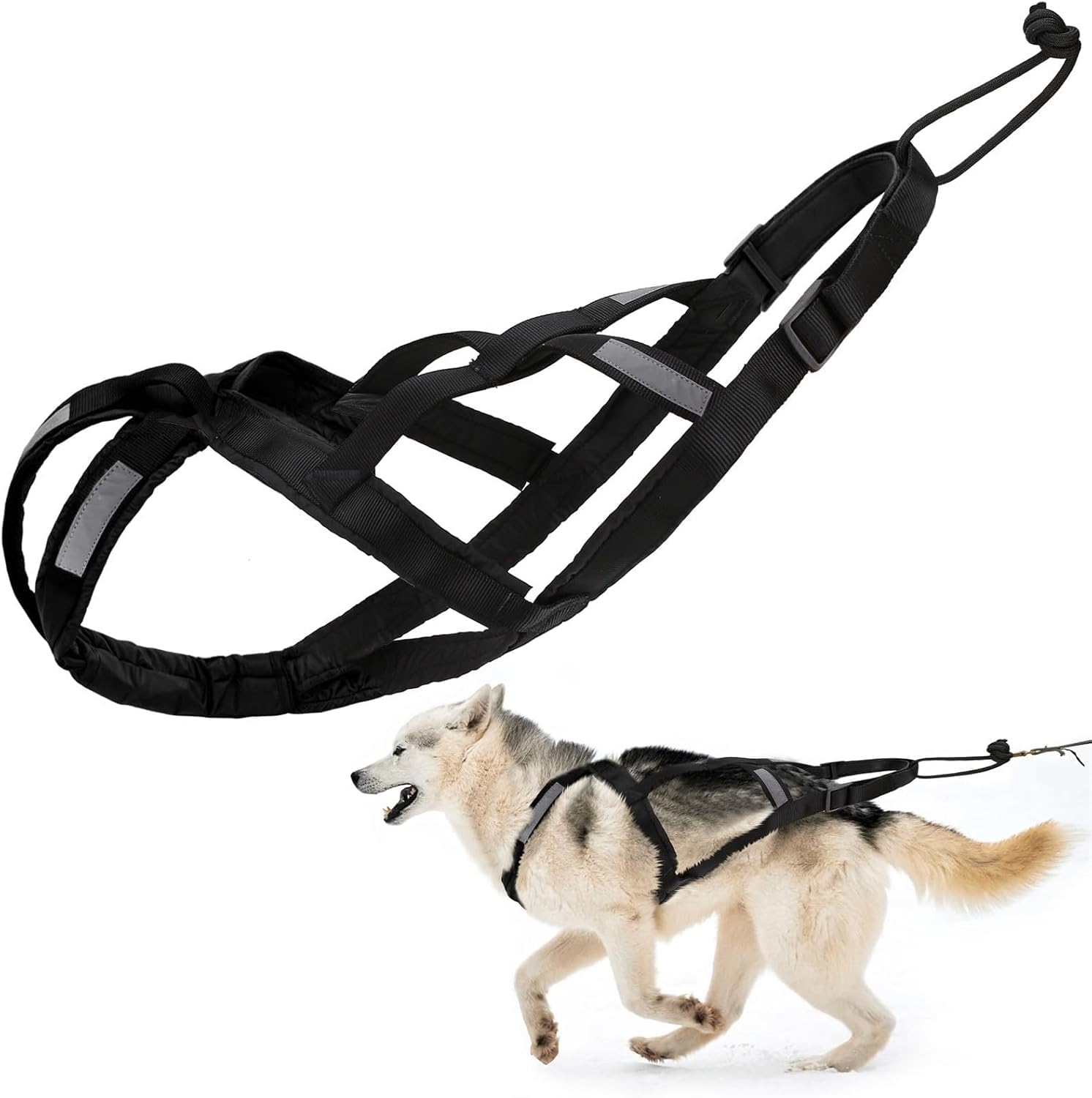 Harnais pour traîneau de chien X Back Mushing, cani-VTT, canicross, noir et rouge, taille M-XL (L)
