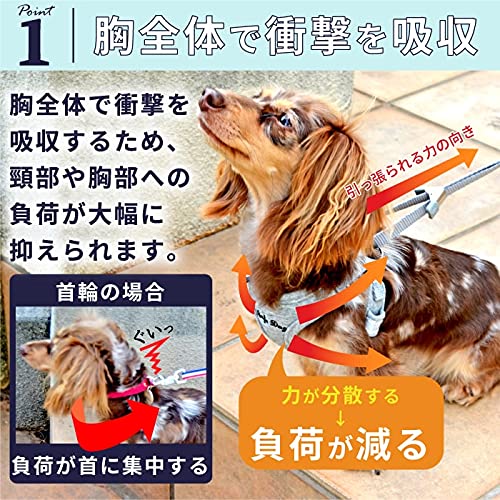 Amazon | ポンポリース 犬用 スーパーハーネス＆リード ロイヤル