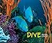 Produktbild Dive 2020