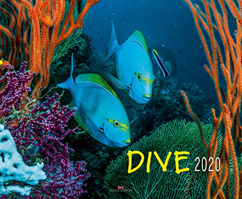 Preisvergleich Produktbild Dive 2020