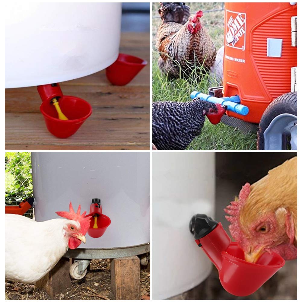 5 sztuk automatyczne plastikowe kubki do picia kurczaka poidełko do drobiu dozownik do wody kubki miski poidło do wody narzędzie dla ptaka przepiórka gołąb kurczak kura (20mm rura)