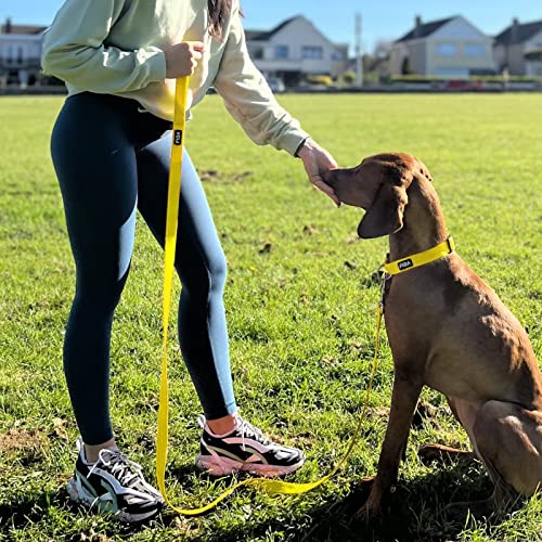 Fida Reflective Dog Leash, 6Ft Nylon Dog Leashes For Small/Medium/Large Dogs, High Visibility Dog Leash With Metal Clasp For Daily Walking (Upgraded Reflective Stitching，Neon Yellow) #TOP5