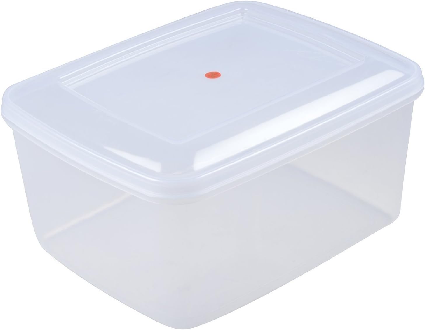 Nakoda Siva Homes & Naturals Plastic Rectangular Container Box, 23 L, White