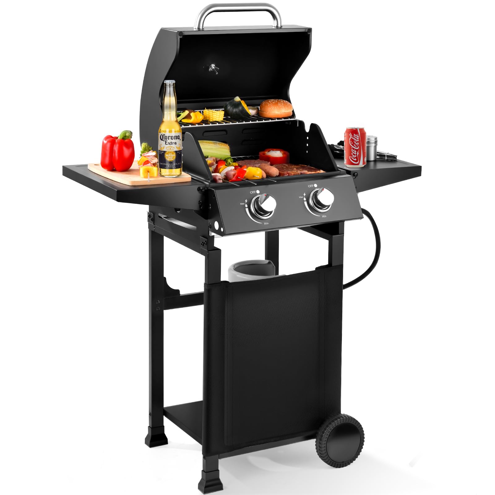 RYHOFOUD 2-Burner Gas Grill