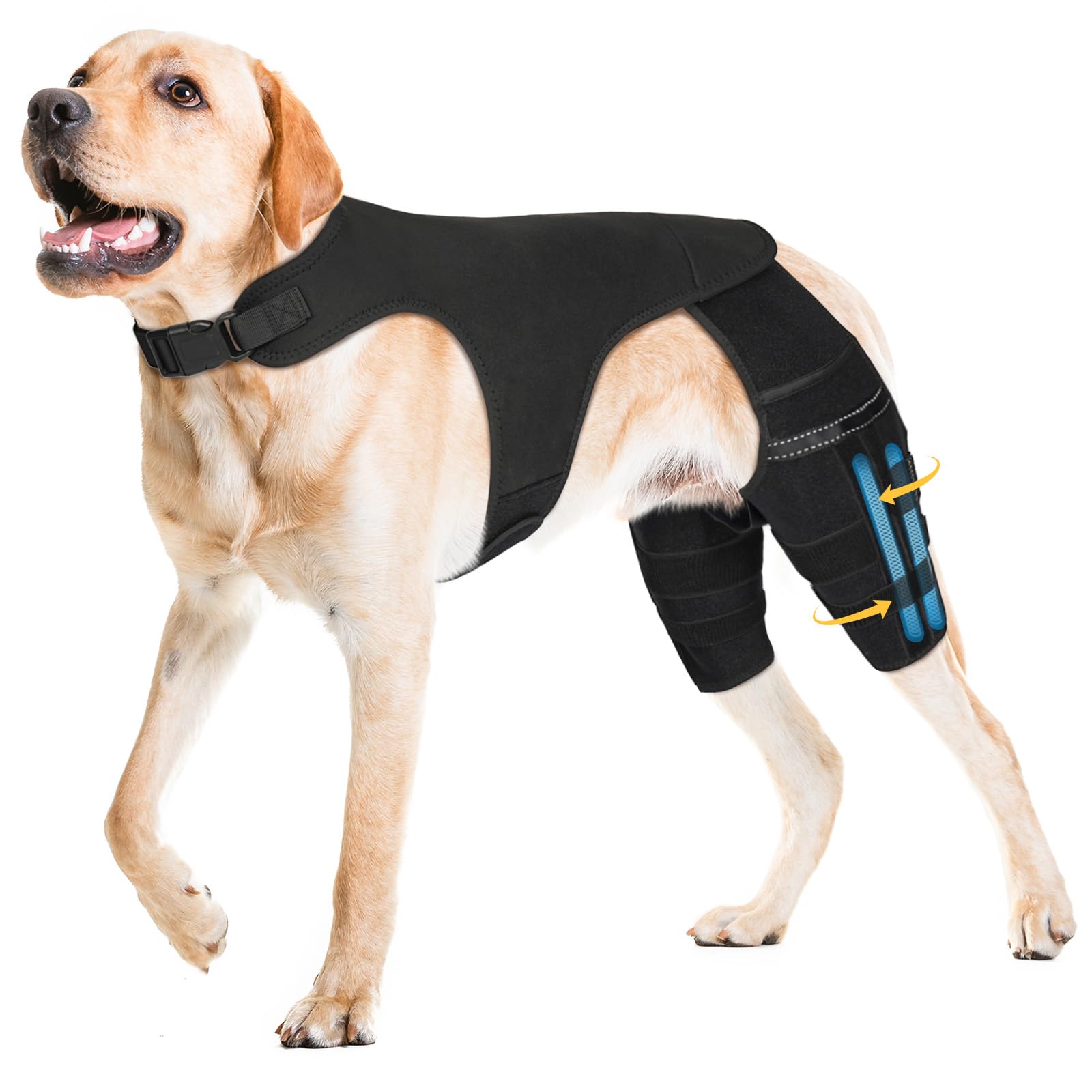 Photo 1 of Marnonsis Dog Leg Braces for Back Leg, Adjustable Dog Knee Brace for Torn Acl Hind Leg with 4 Stabilizers, Hip Support to Reduces Pain, Ligament Injuries for Small Medium Large Dogs