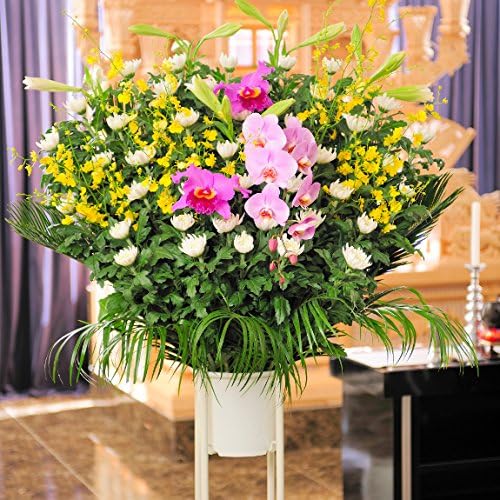 Amazon Co Jp 供花スタンド 和花 3万円コース お通夜 告別式 お葬式 お通夜 告別式 お葬式 お供え花 お悔やみ花 供花に お届け日指定ｏｋ Diy 工具 ガーデン