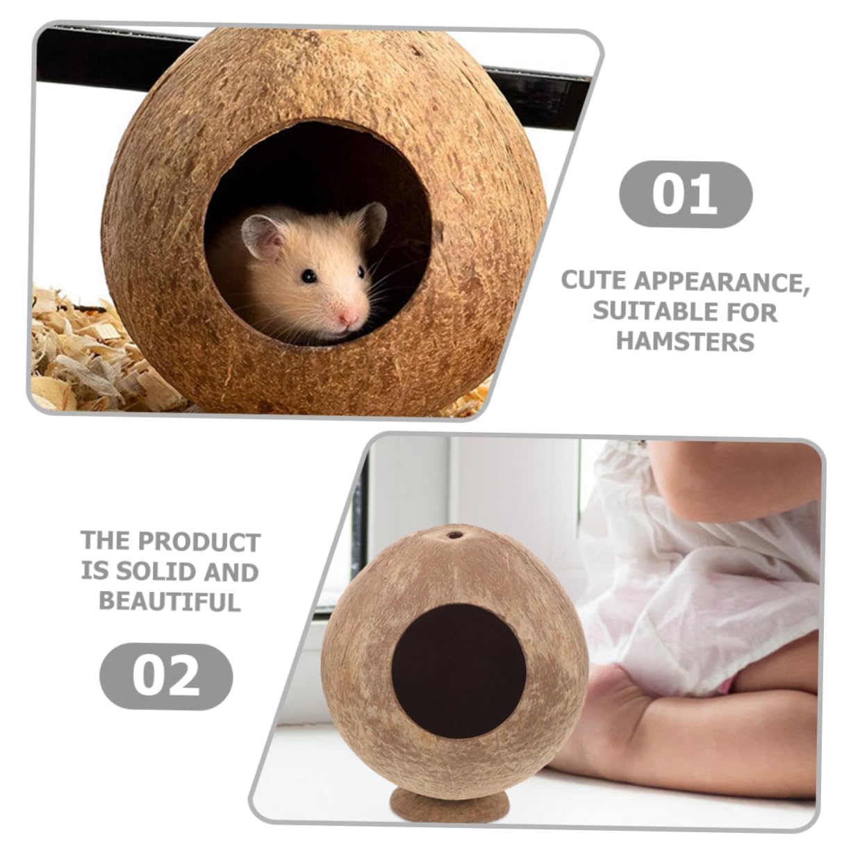 Ciieeo 4stücke Kokosnussschalen Hamsterversteck Natürliches Sicheres Versteck Für Meerschweinchen Und Kleine Nagetiere Spielen Und Entspannen
