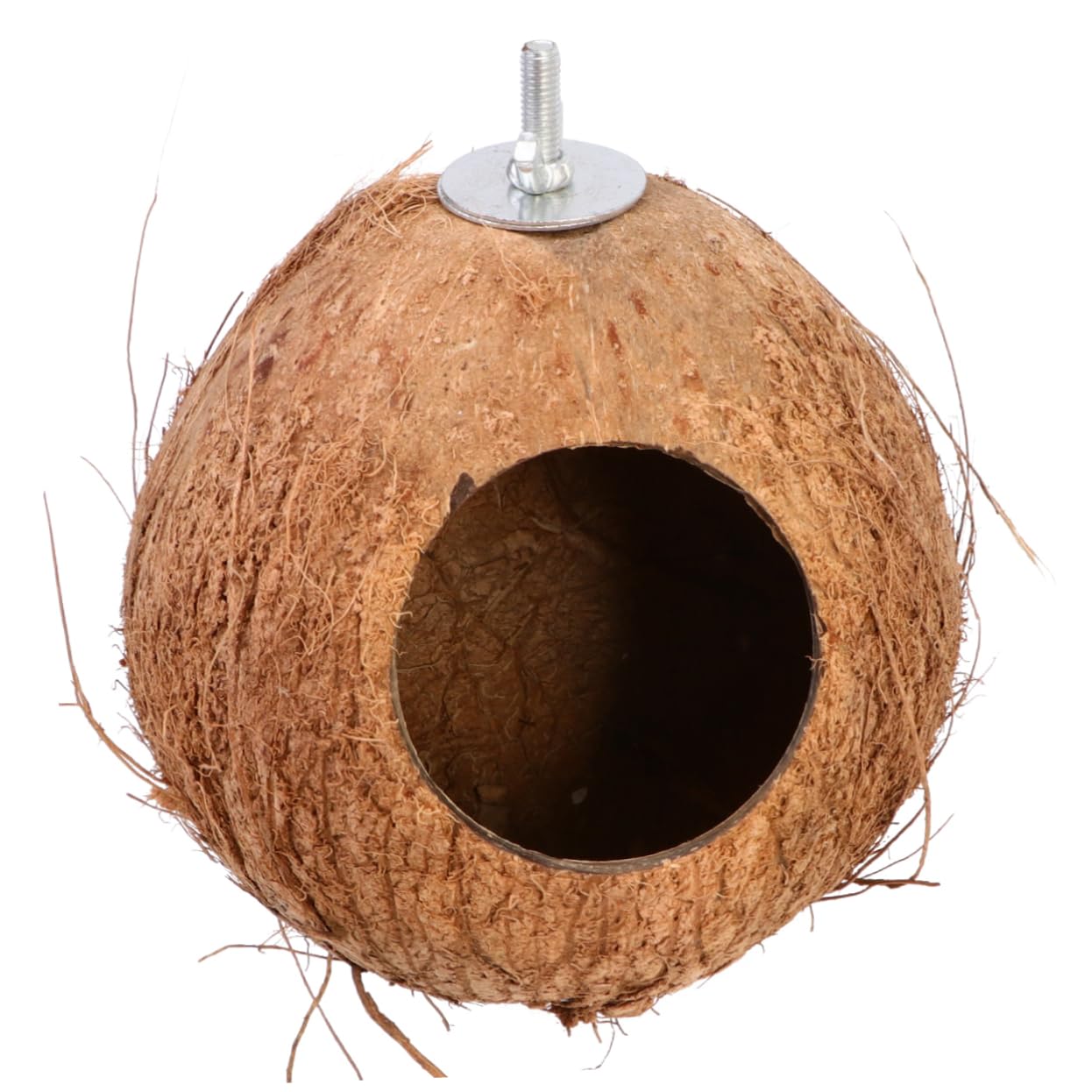 Mangeoire pour écureuils extérieur bambou boîte alimentation animaux jardin