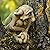 Troll Statues Home Decor, Gargoyle Statues, Cast Stone Trolls, Gothic Sculpture Home Garden Art Decorations, Exquisite Stone Statues for Indoor Outdoor