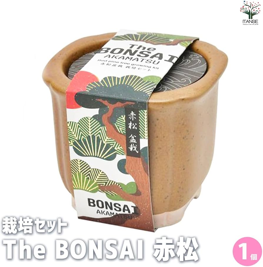 / BAOBABLISS実生セット 613iyrsIIHL._AC_UF894,