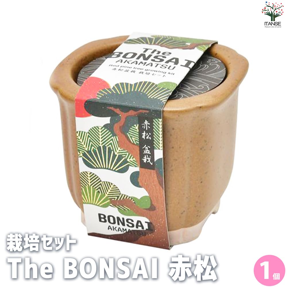 Amazon｜栽培セット The BONSAI 盆栽栽培キット/1個売り - 種から樹木