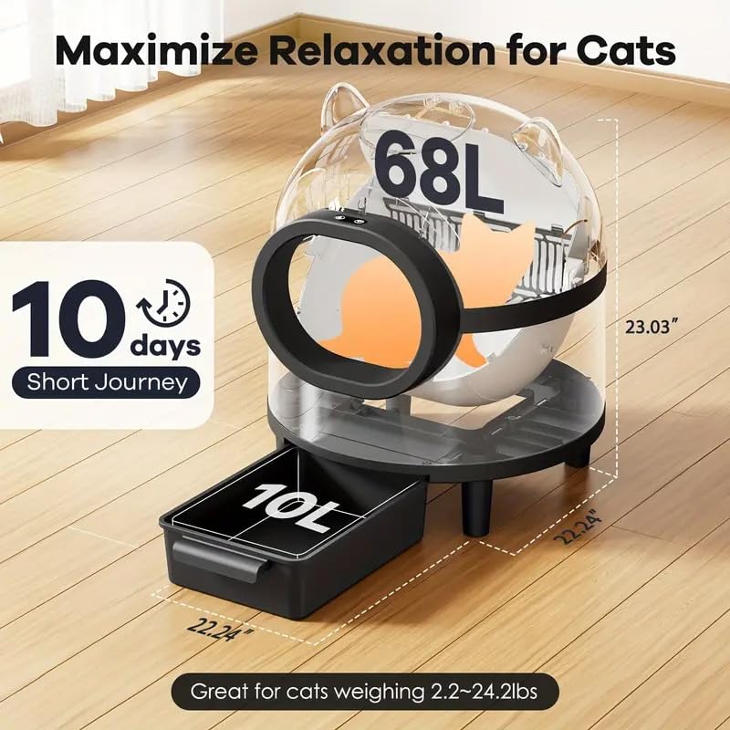 https://m.media-amazon.com/images/I/613j+CFJgHL.jpg