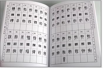 Hardcover counter the word seal Dictionary (Hardcover) (Hardcover) Book
