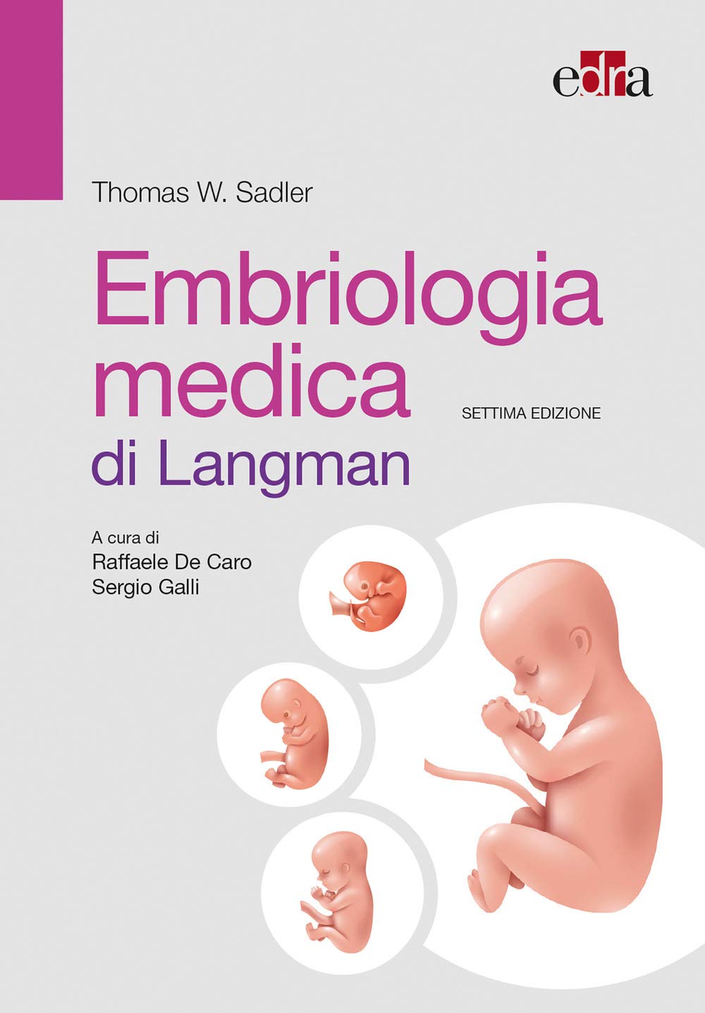 Embriologia Medica Di Langman - 4