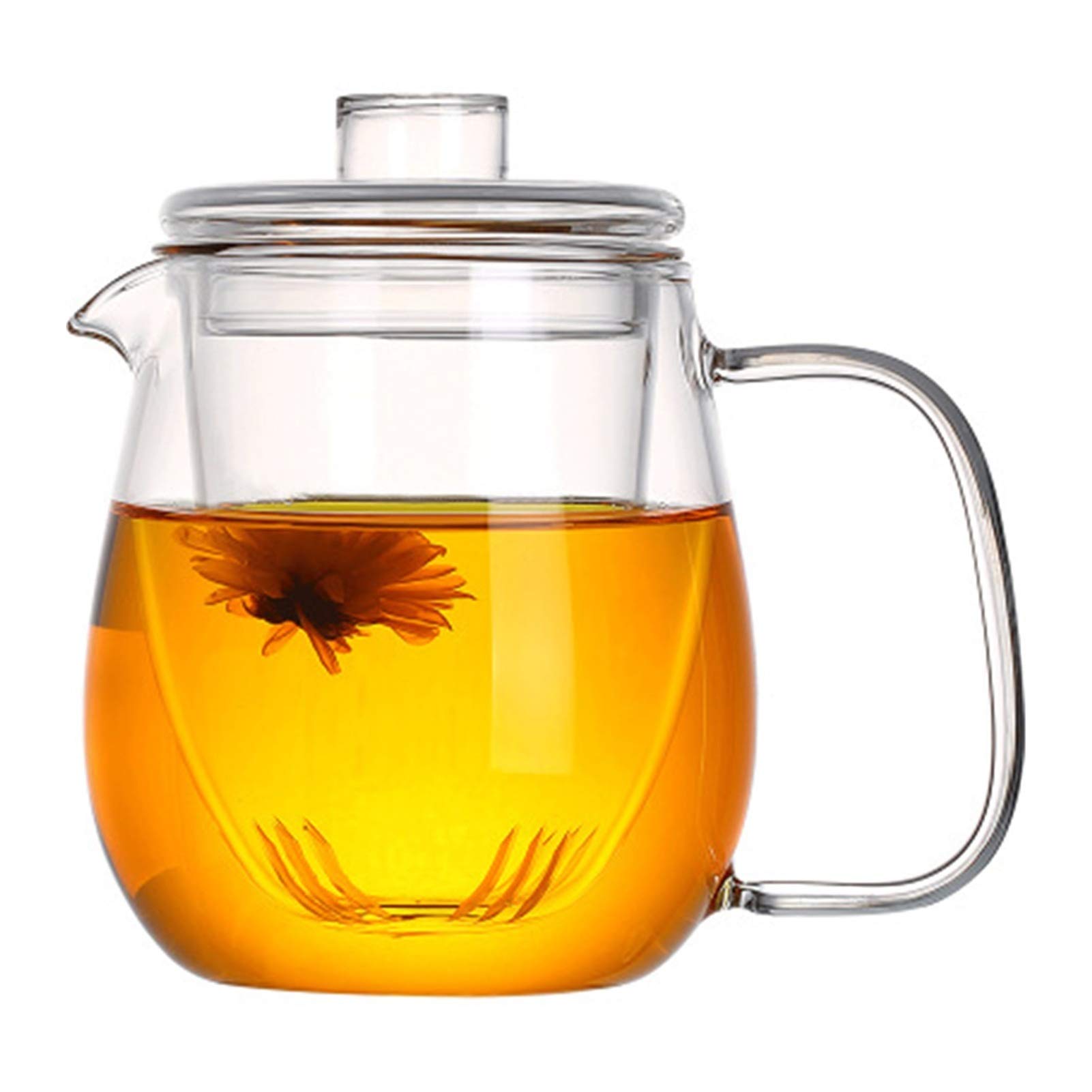 Théière en verre transparent épais et résistant à la chaleur pour infusion saine