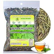 Insulina Traditional 100% Natural Dried Plant Herbal Tea 4 oz 113g Gymnema Sylvestre & Costus Igneus Wildcrafted Mexican Herb Sugar-Free, 0 Carbs Caffeine-Free Loose Leaf Infusion by BexpertsUSA