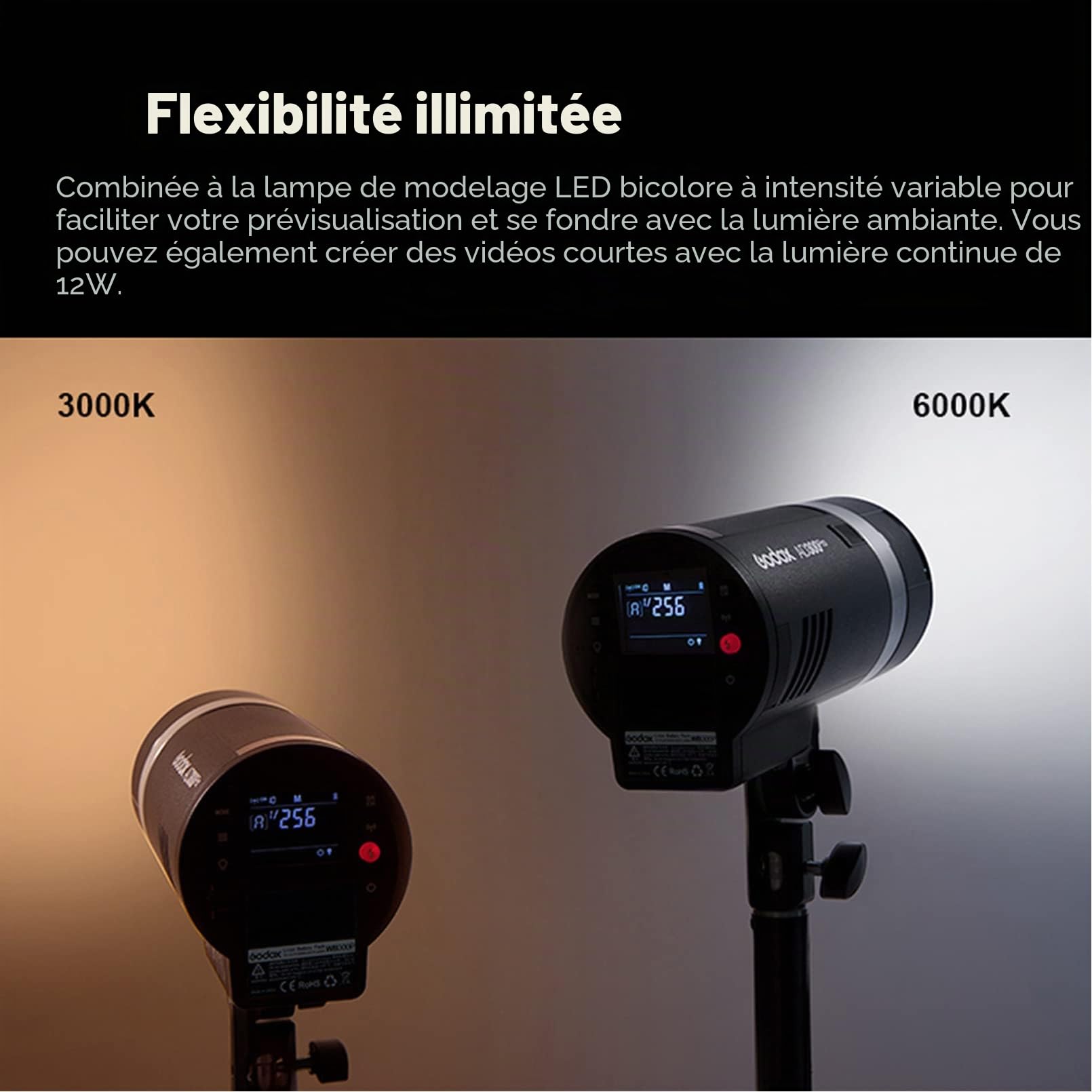 Godox AD300 Pro AD300Pro Flash de Studio, 300W TTL Éclairage de Studio Stroboscope HSS 1/8000s, Lithium Batterie, 320 Flash de Pleine Puissance, Compatible pour Sony Canon Nikon Fuji Olympus Panasonic
