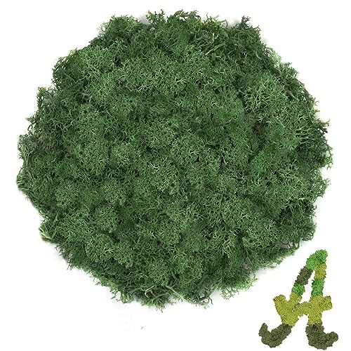 TCYPUHL Dark Green Reindeer Moss Preserved 3.5 OZ
