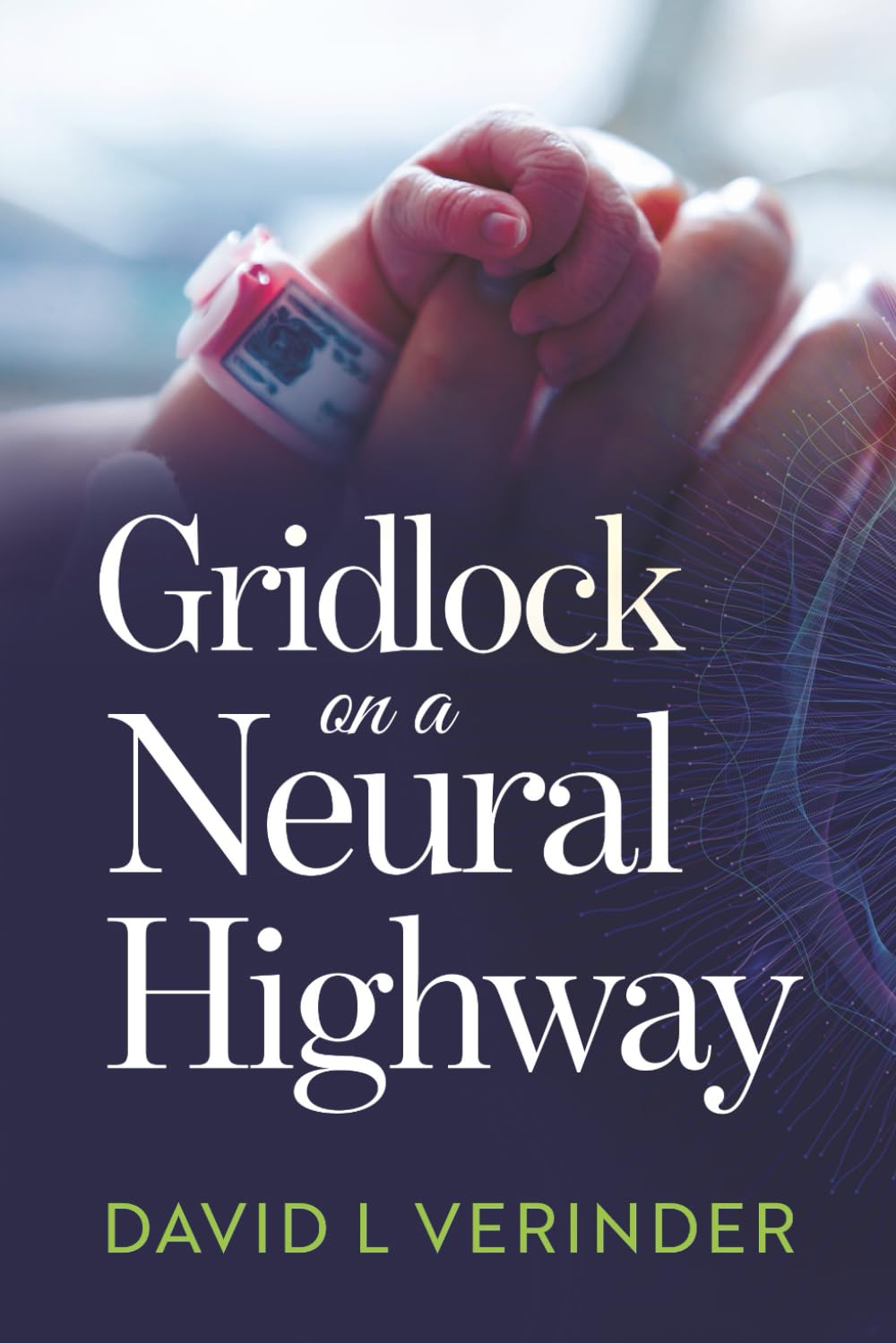 Gridlock On A Neural Highway: An ordinary family's extraordinary story of living with spina bifida