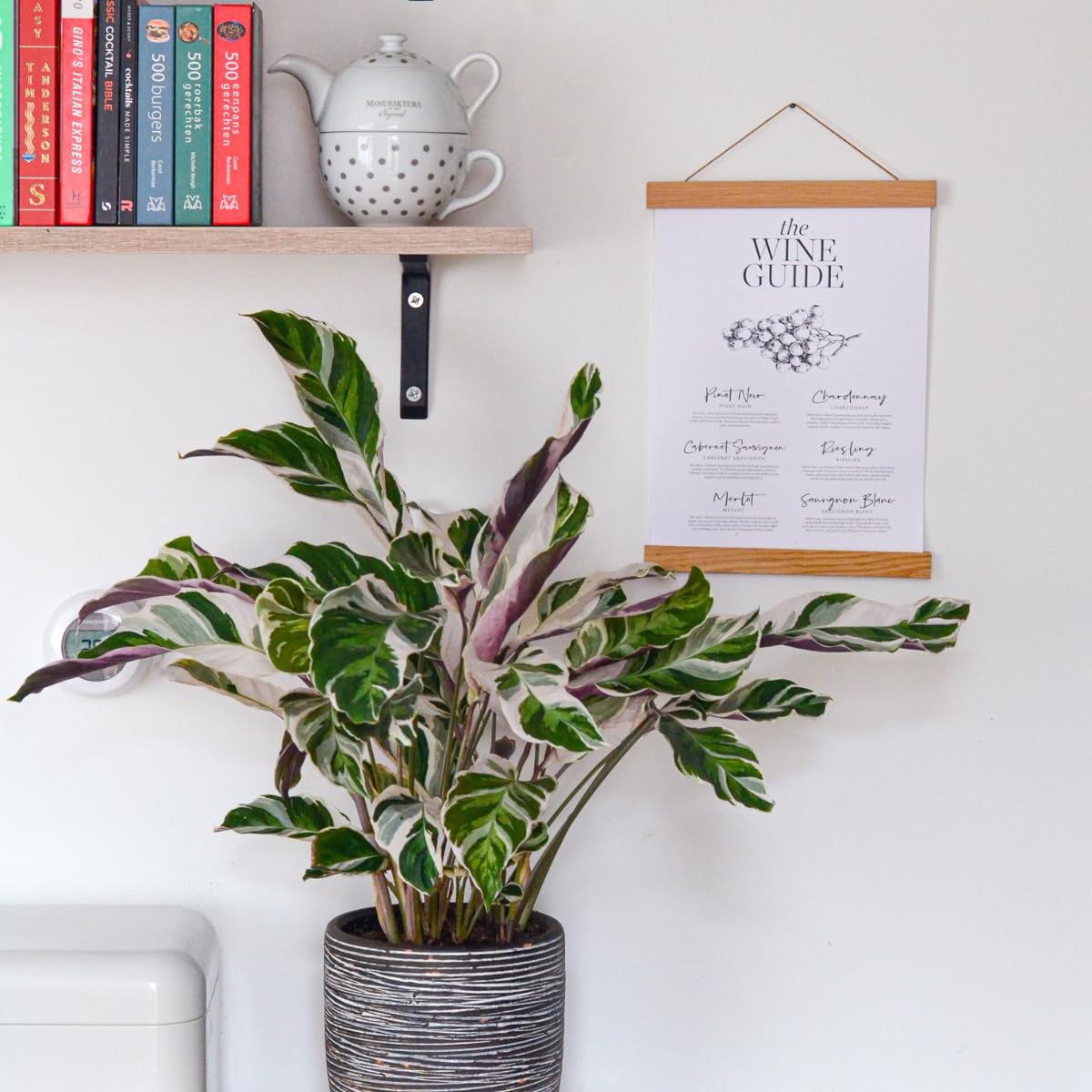 Plant in a Box - Calathea 'Fusion White' - Set de 2 - Maceta 14cm - Altura 30-40cm - Planta de interior purificadora del aire - hermosas hojas