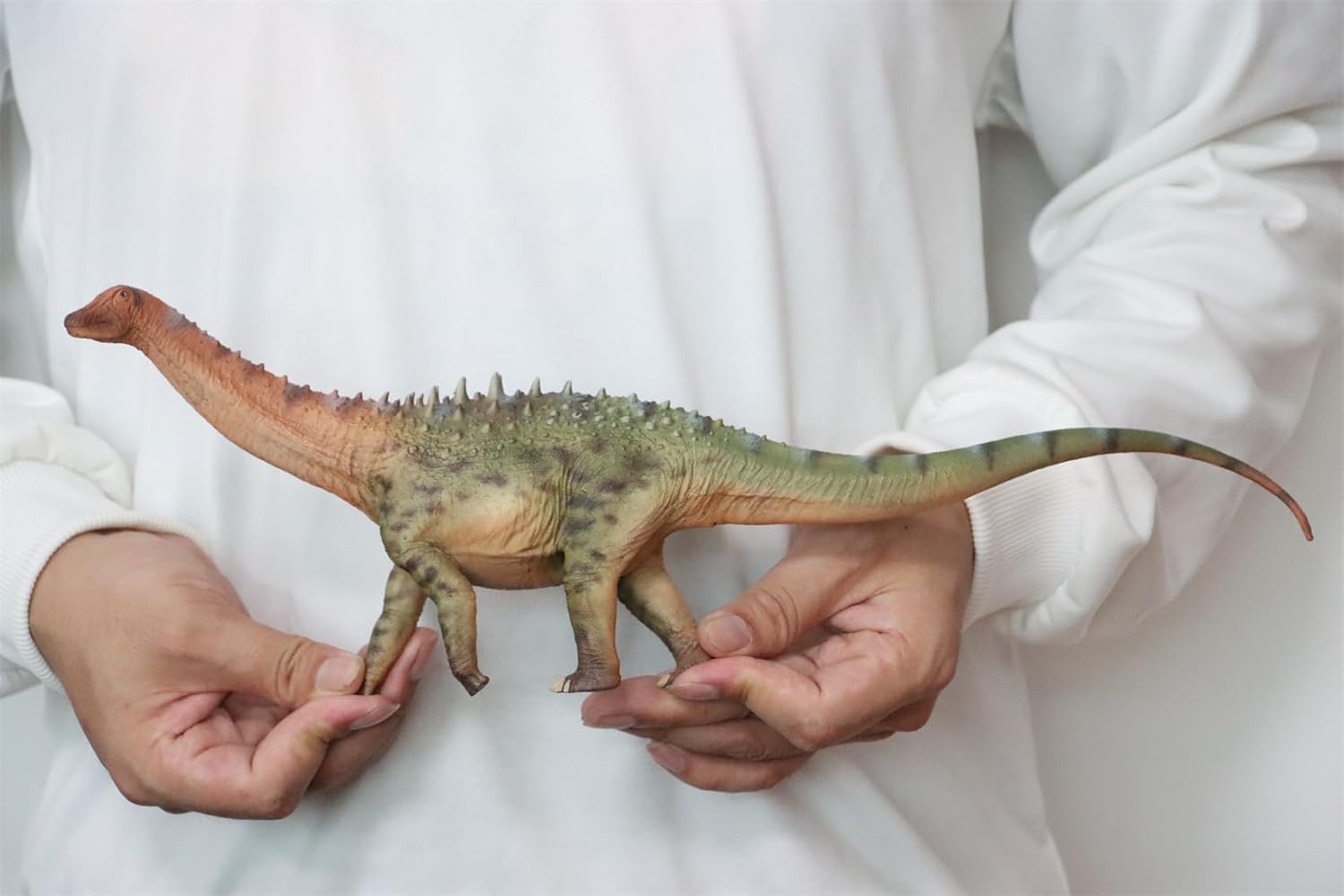 1:35 Scale Ampelosaurus Figure Cretaceous Titanosauria Dinosaur Animal Collection Realistic PVC Model Home Decoration Gift for Adult (Green)