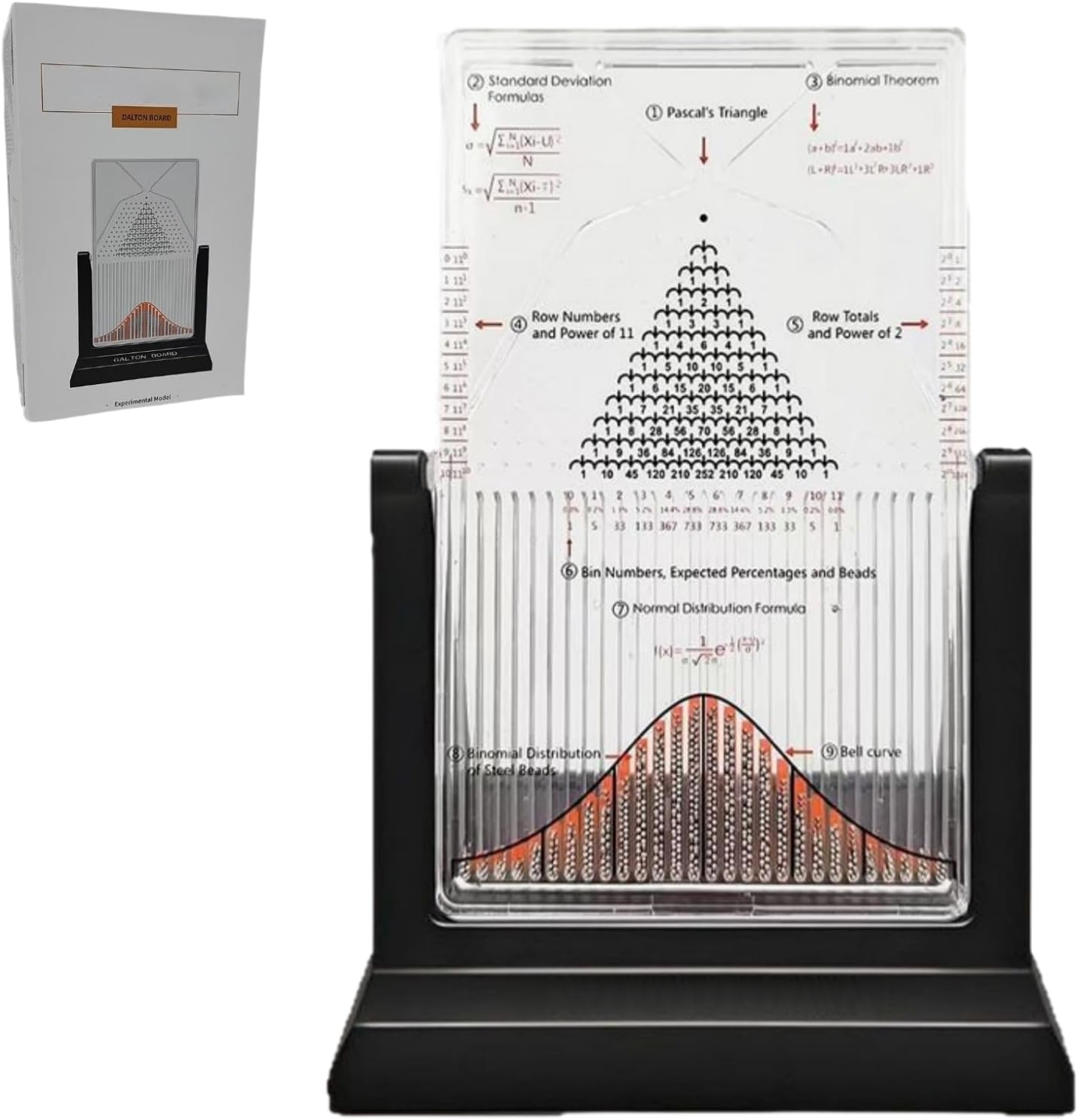 Desk Galton Board, Bability Demonstration Model with Bell Curve, Physics Learning Desk Display, Statistical Law Experiment Tool for School Labs