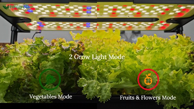 Amazon.com: Growell Hydroponics Growing System Kit, 54 Pods