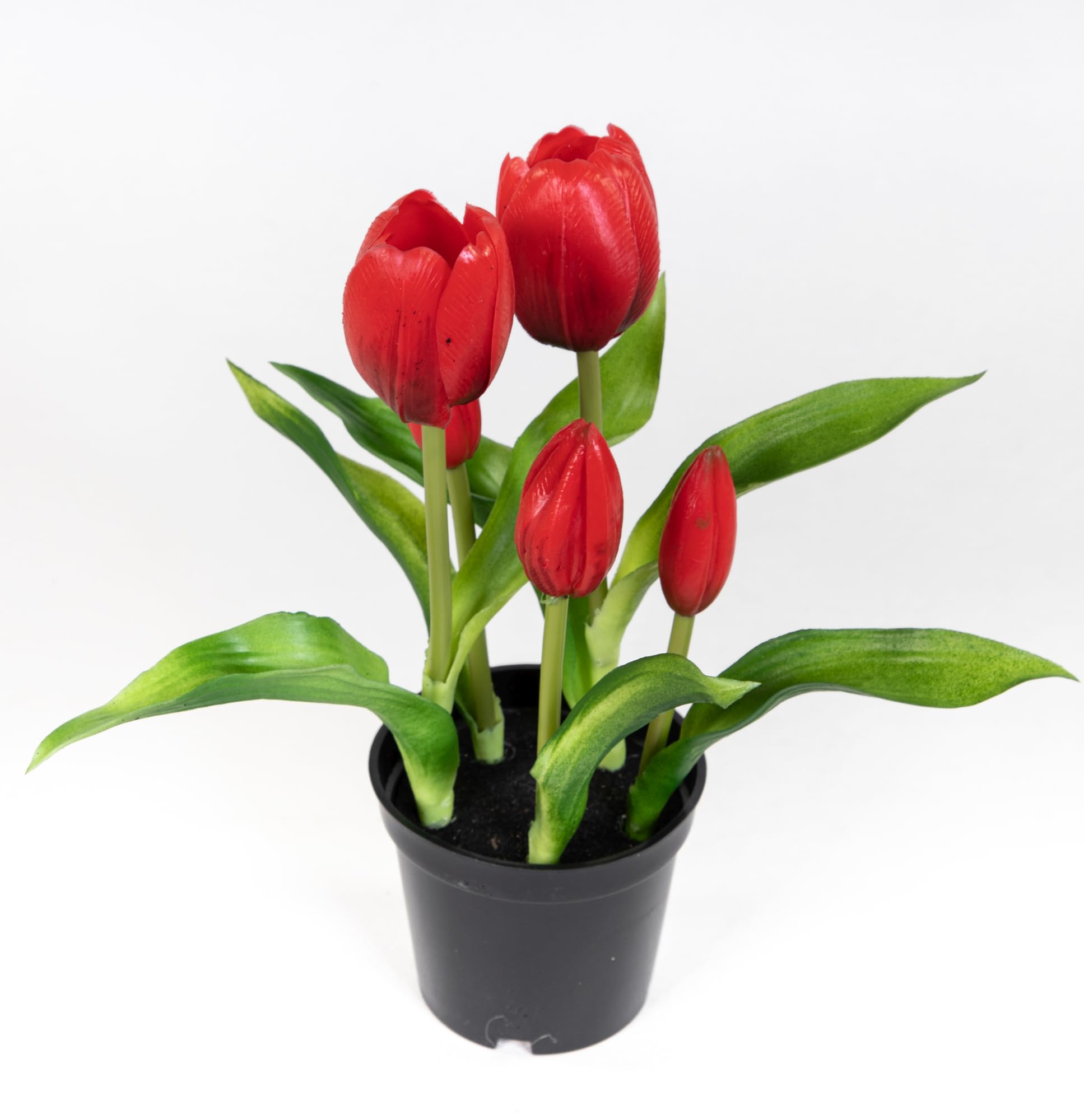 Roß Art Tulpen Real Touch 24cm im Topf | Künstliche Tulpen in Schwarz