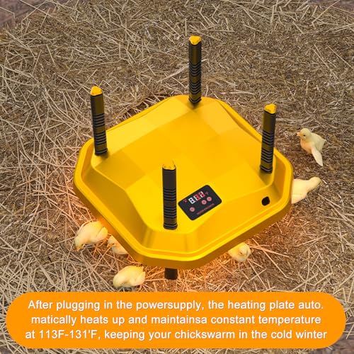 Jelsvop Coop Chick Brooder Heating Plate Brooder Heat Plate Warms Up To 15 Chicks thumb #3