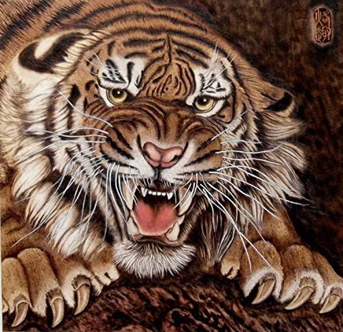 Miniatura 8 de TOPCHANCES Kit profesional de combustión de madera para adultos, 110 V 60 W, kit de herramientas de pirografía con bolígrafo y 20 puntas de