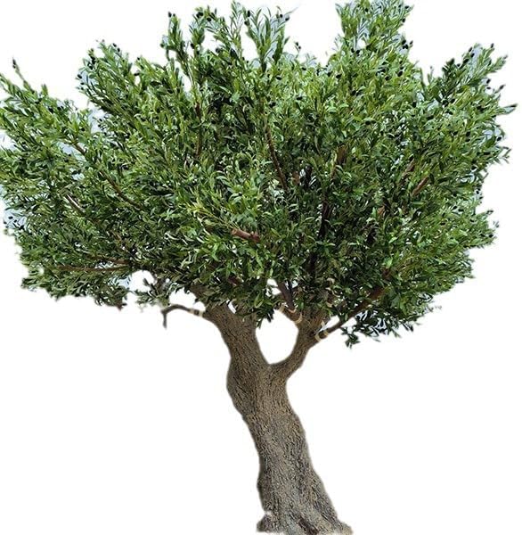 KIBONCY Artificial Green Plants Large Olive Trees Potted Plants False Trees Bonsai Artificial Trees Indoor Landscaping Hotel PeopleAccommodation Decoration 5m