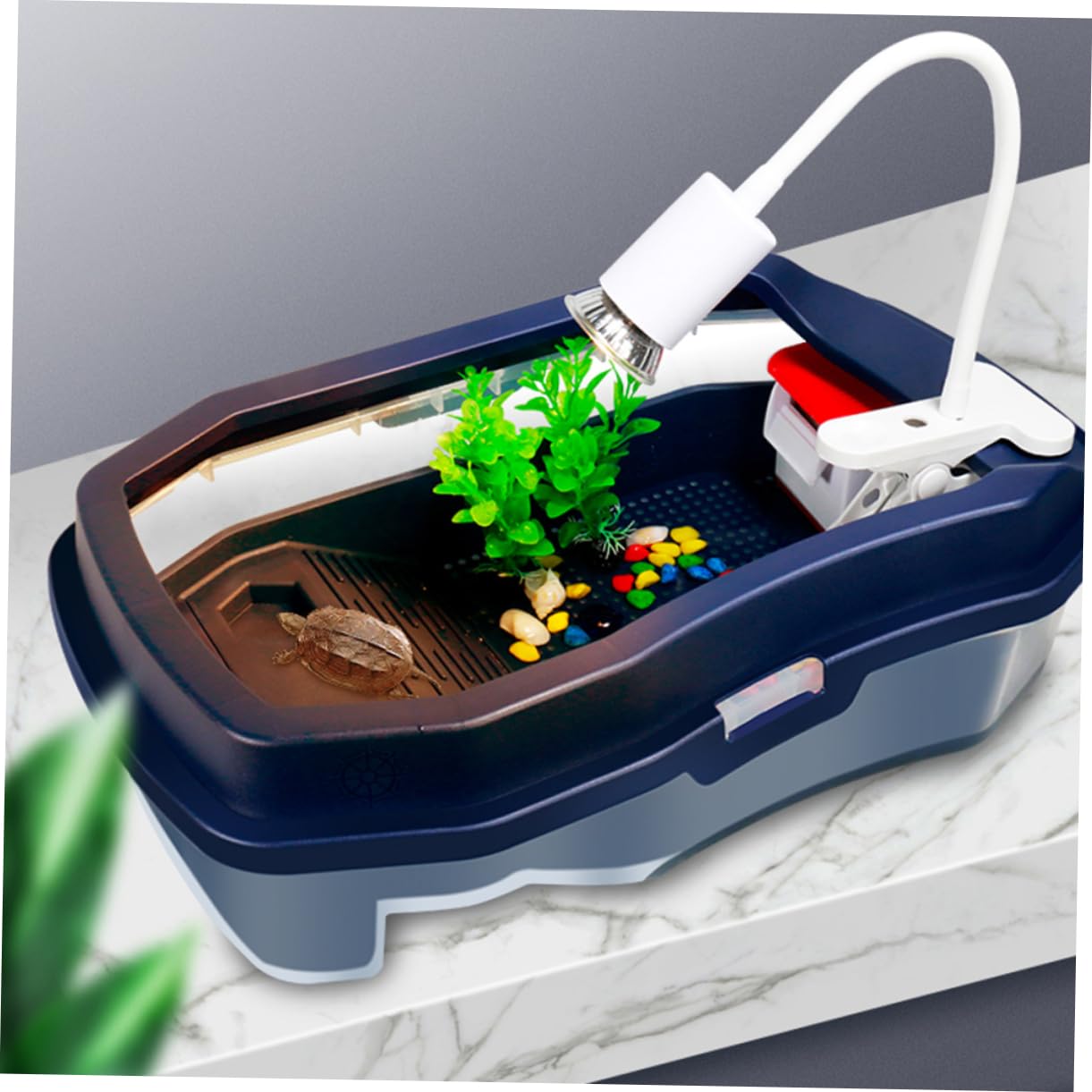 FRCOLOR Caja de Cría de Tortugas Plataforma de Secado y Tanque de Agua, Plástico Resistente, Fácil Limpieza, Gran Capacidad para Área de Alimentación de Tortugas