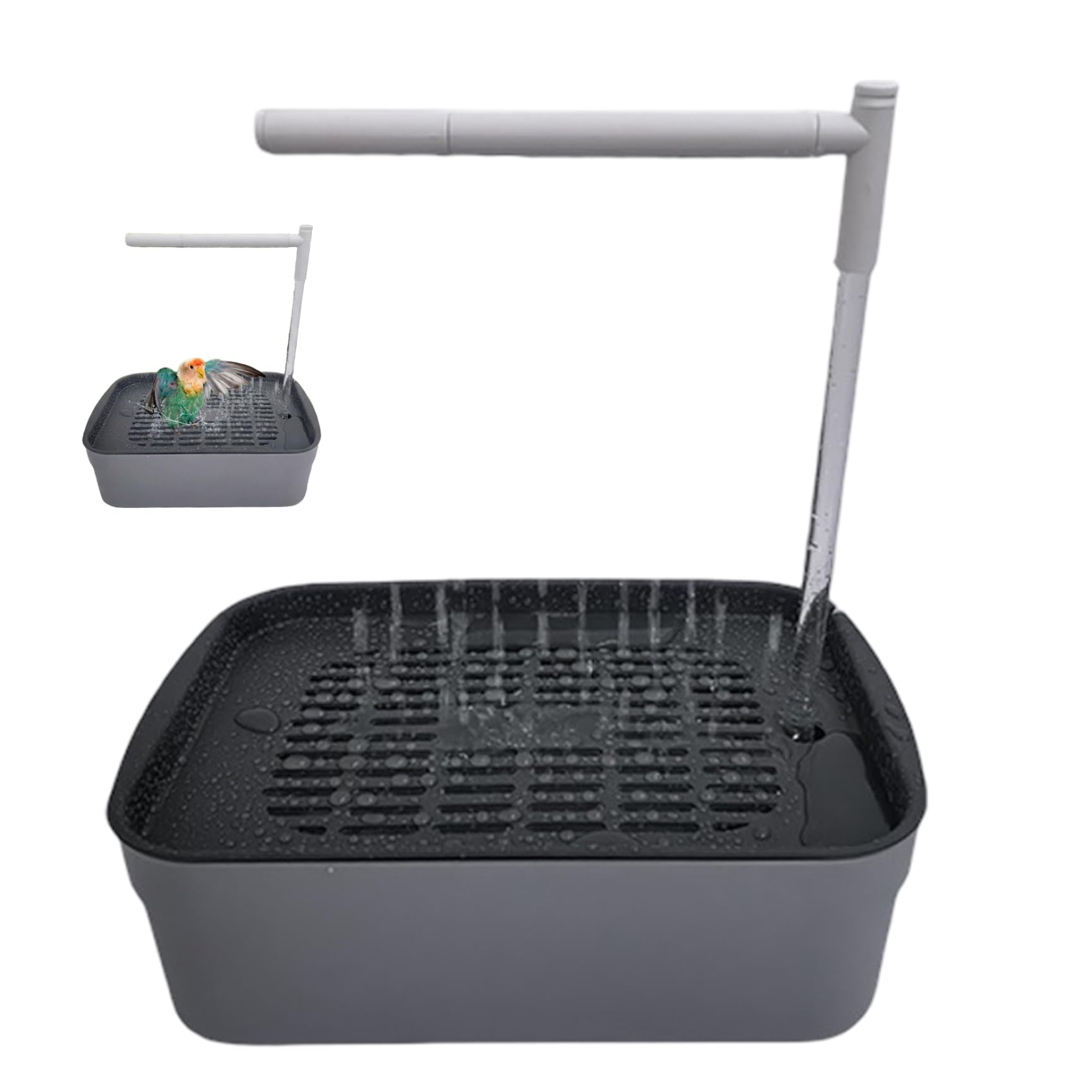 Douche pour perroquets : nettoyez et hydratez vos perruches facilement grâce au bain automatique