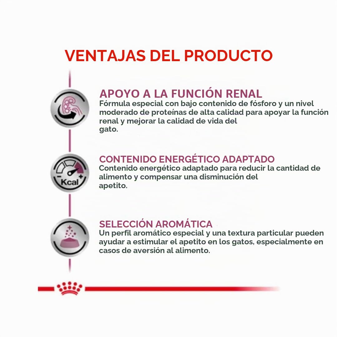 Royal Canin Renal Mousse para Gatos | Paquete Doble | 2 x 12 x 85 g | Alimento Completo para Gatos Adultos con Problemas renales | con bajo Contenido en fósforo