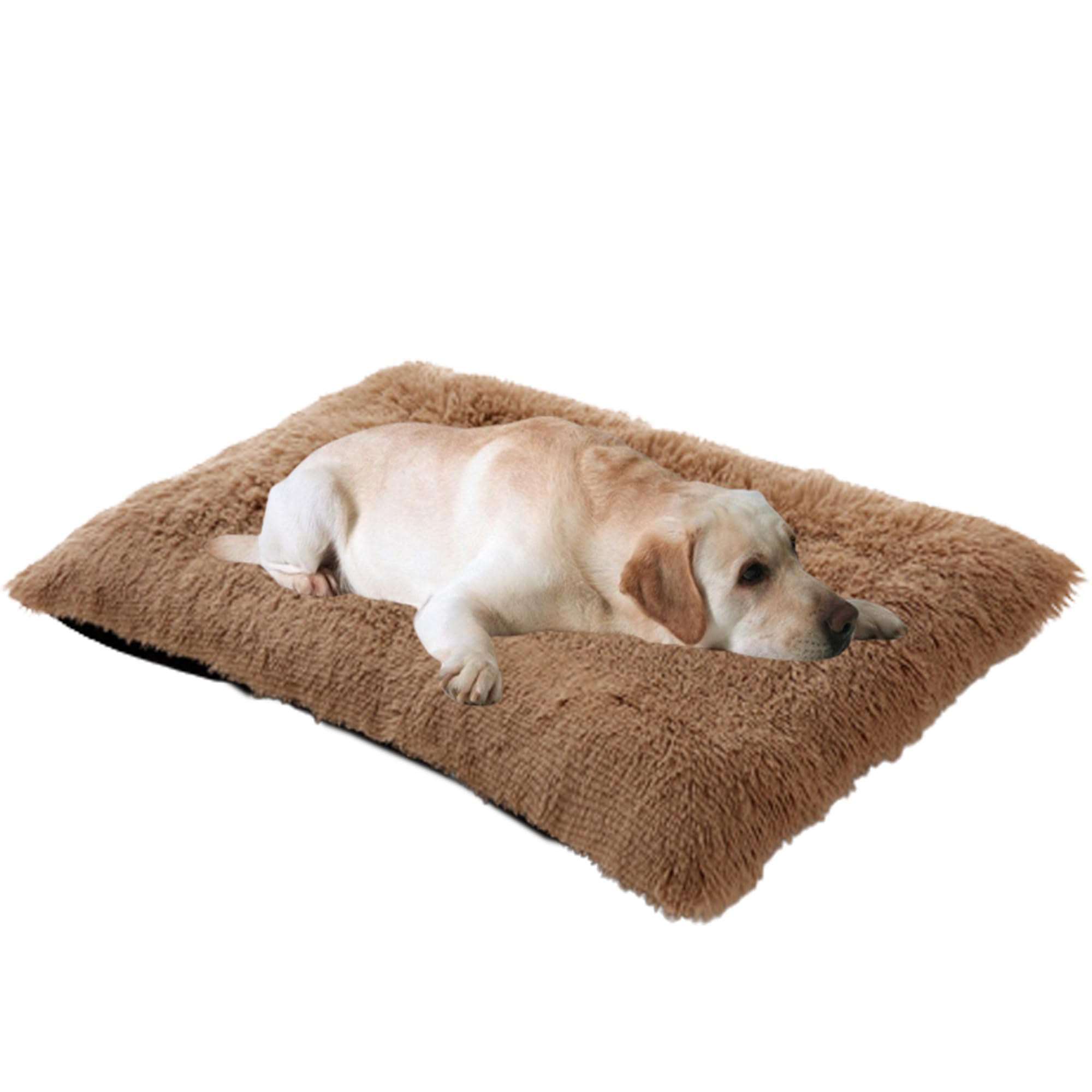 Grande letto per cani con fondo antiscivolo anti ansia cuscino per animali domestici per cani e gatti 70 x 50 x 8 cm colore cachi