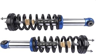 車用ショックアブソーバー フォード F 150 F150 SVT ラプター 2010 2011 2012 2013 2014 ASH-12262 AP03 2x フロントショックストラットスプリングアセンブリ 車のサスペンション