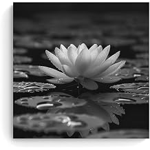 Black White Zen Blossom Lotus Canvas Poster Wall Art, Water Lily Spiritual Prints, Serene Decor for Bathroom, Meditation Yoga Spa Room & Home Sanctuary 24x24inch60x60cm