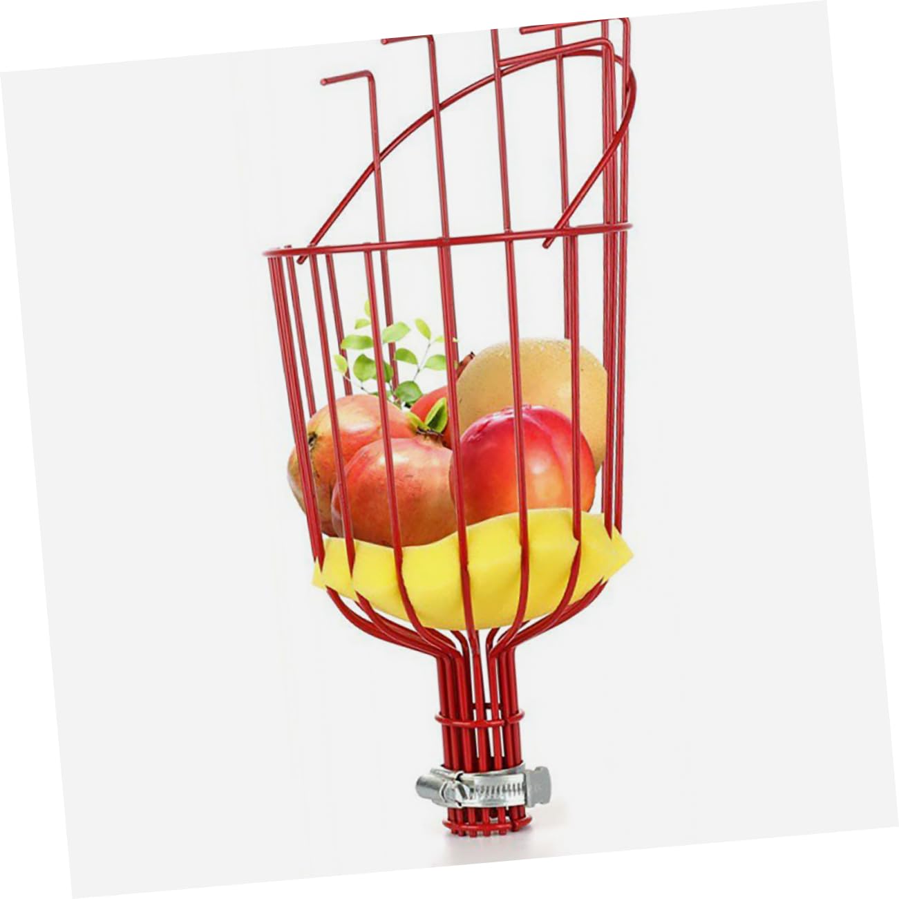 HANABASS Raccoglitrice di Frutta in Acciaio Inox Cestino Raccoglitrice senza Manico Attrezzo Agricolo per Raccolta Frutta da Albero Adatto Mele Pere Pesche Kiwi Limoni Arance