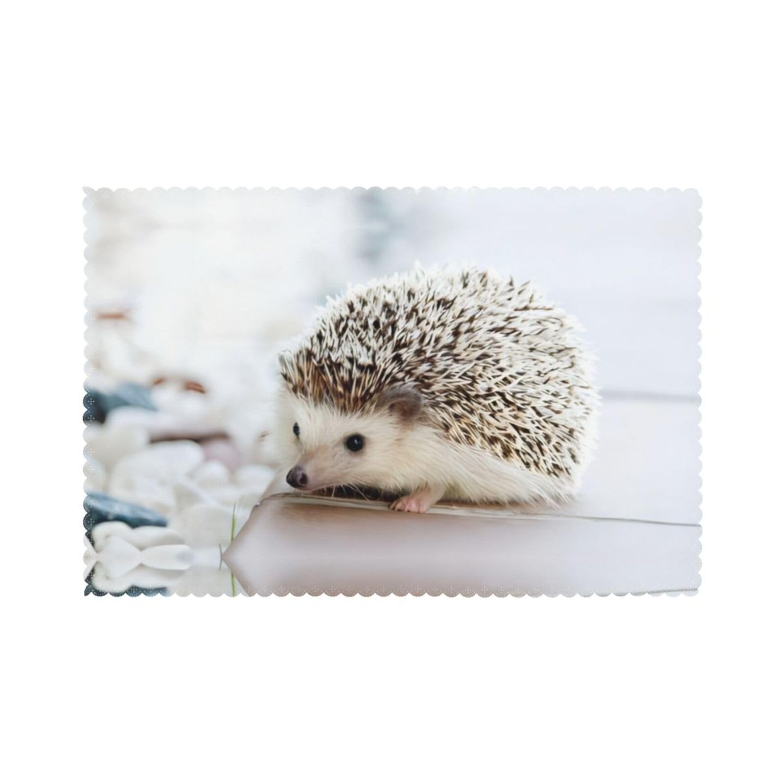 Hedgehog Printed table mat set (6 pieces) - Aesthetic upgrade for family gatherings and hotel banquets