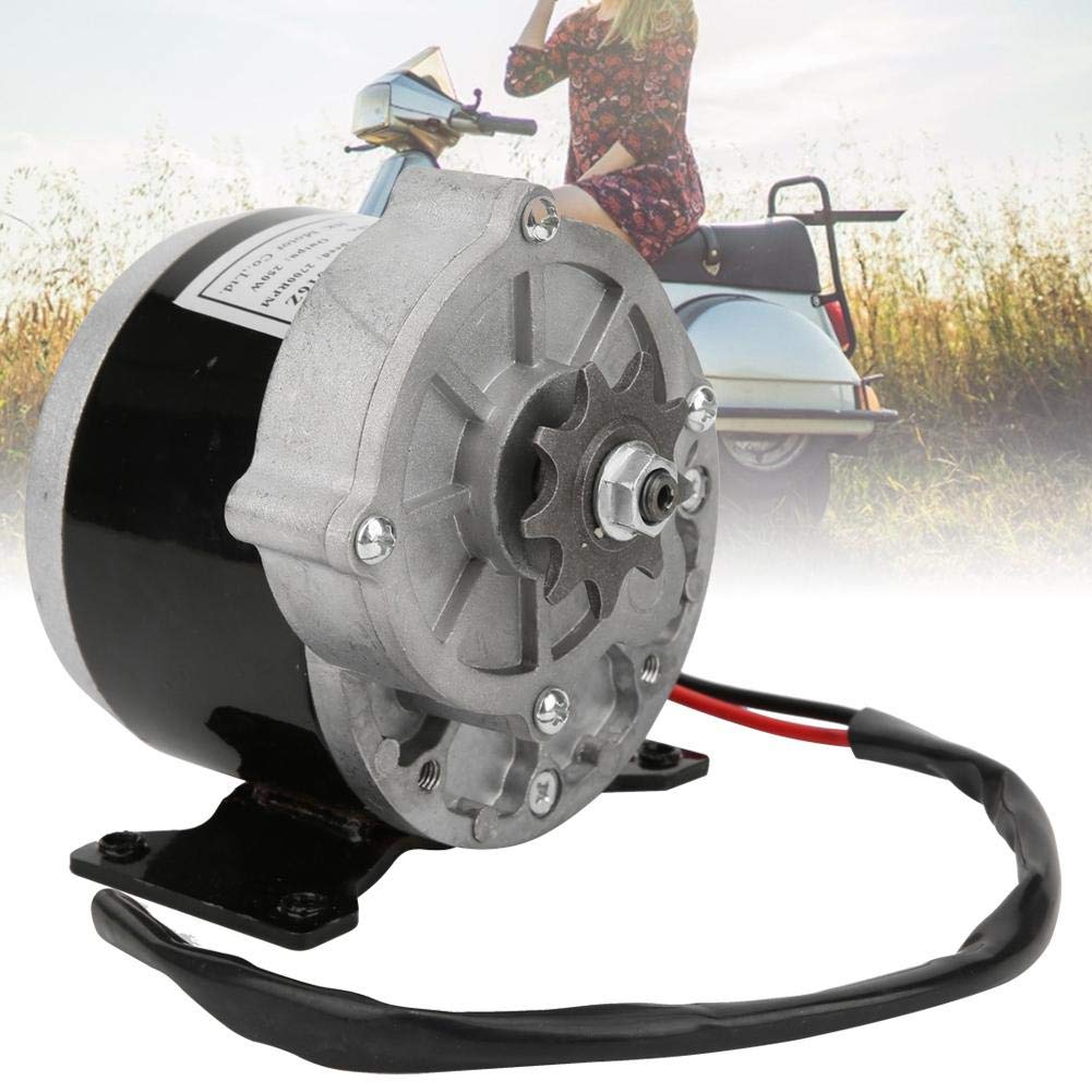 12V 24V 250W Motoriduttore Elettrico per Scooter Elettrico Alta Coppia Basso Rumore Ricambio Sostituzione Motore Elettrico per Veicoli Elettrici Componente di Ricambio Affidabile